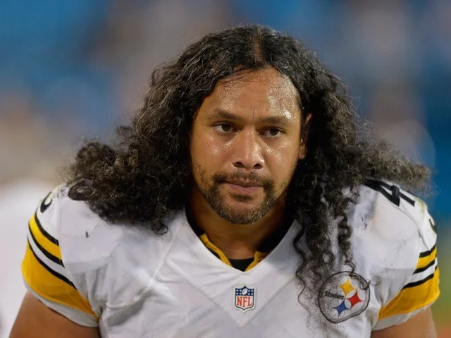 brandon polamalu