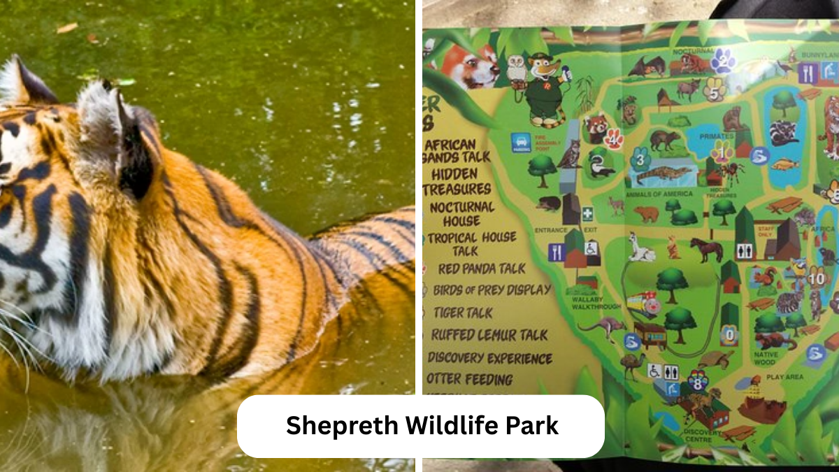 shepreth wildlife park