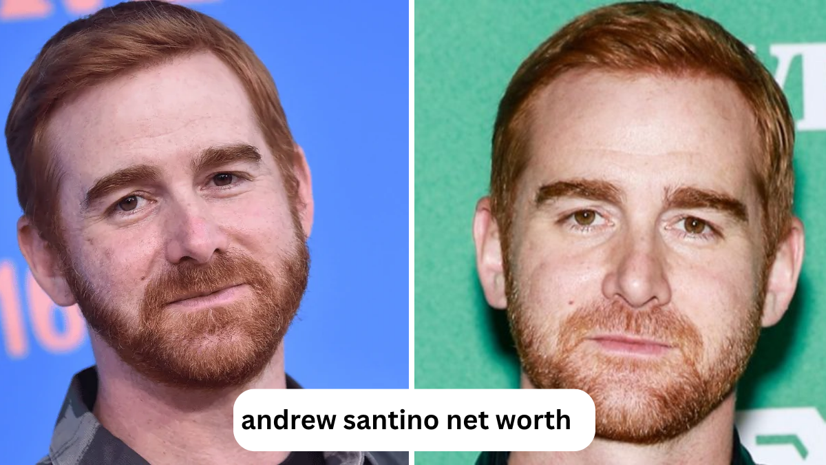 andrew santino net worth