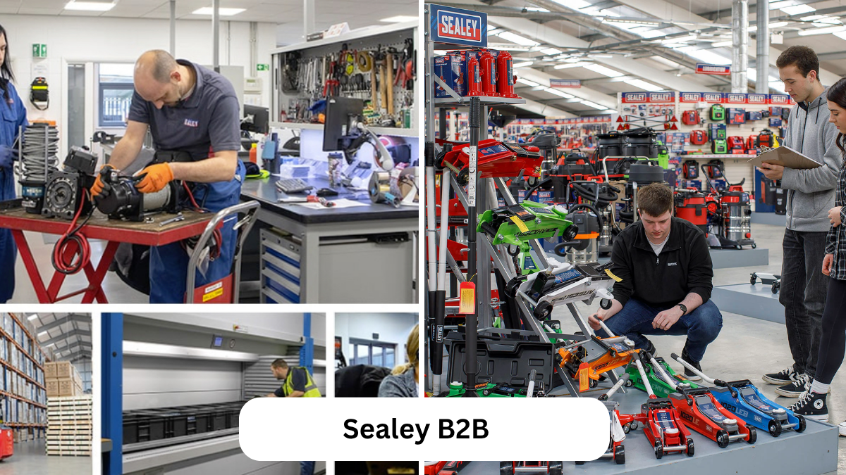 sealey b2b