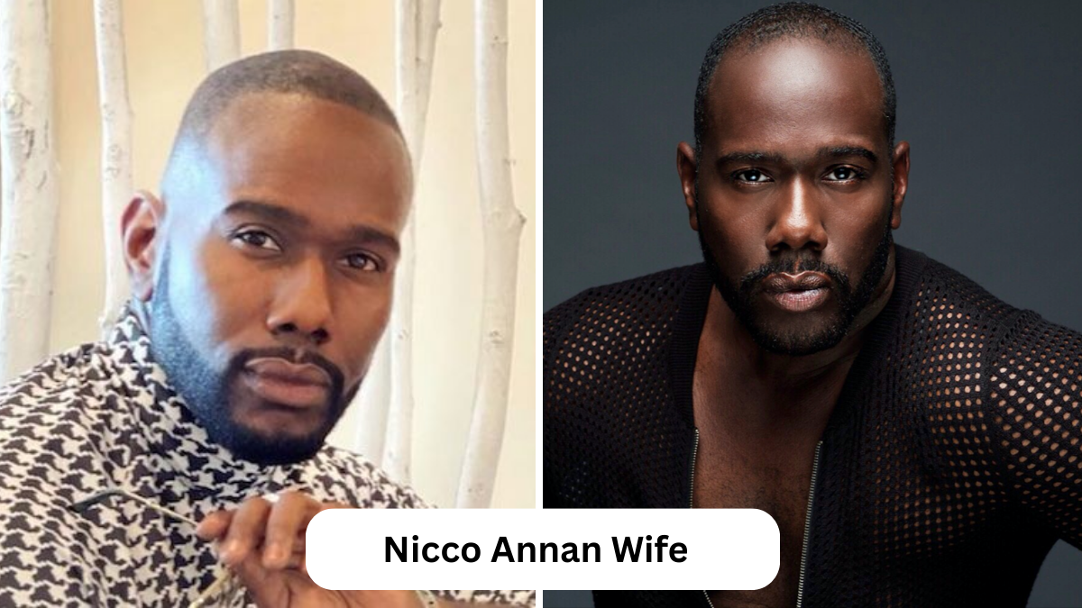 Exploring the Life of Nicco Annan and the Curiosity Surrounding “Nicco Annan Wife”