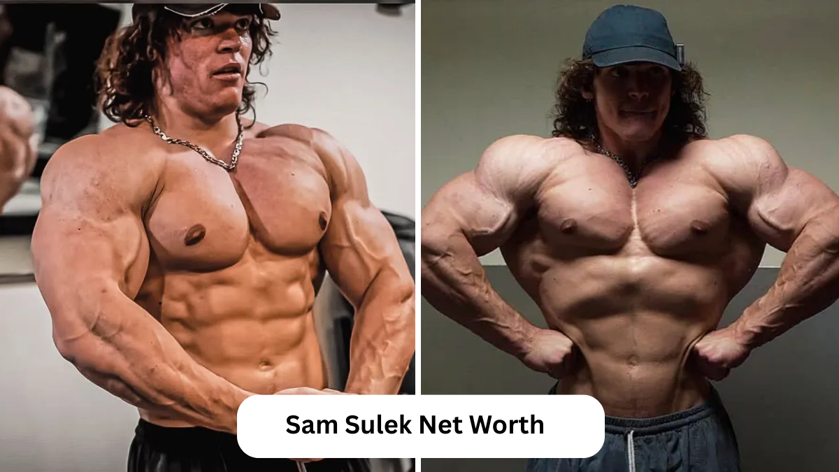 sam sulek net worth
