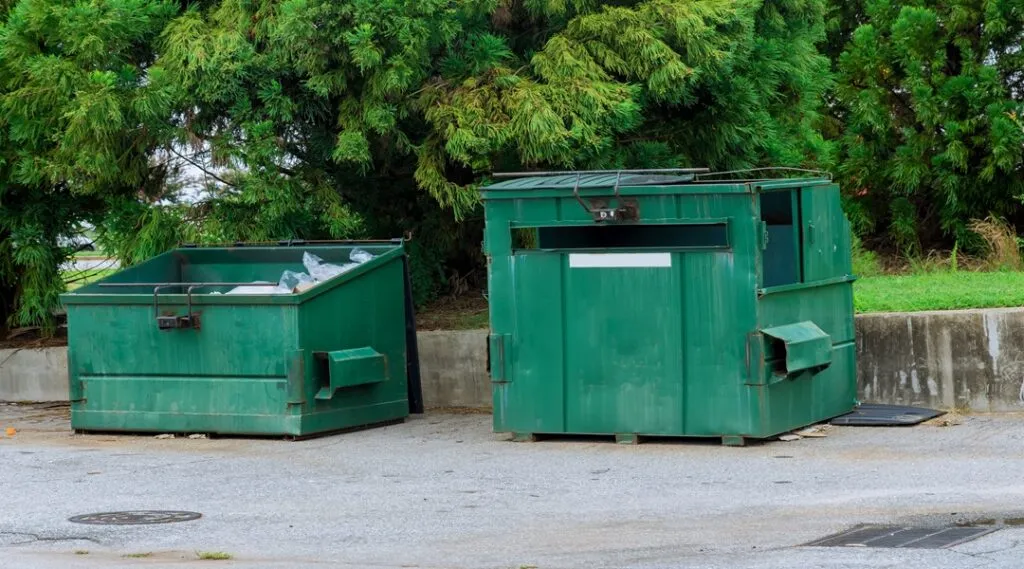 How Dumpster Rentals Help with Short Cleanup Projects